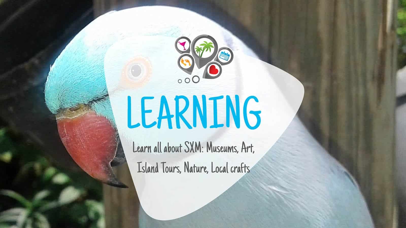 “Discover and Learn in Sint Maarten and Saint Martin – Engaging Learning Activities for All” Learning Activities - Island Tour, Museums, Art, Local Crafts, Nature - Sint Maarten - Saint Martin S