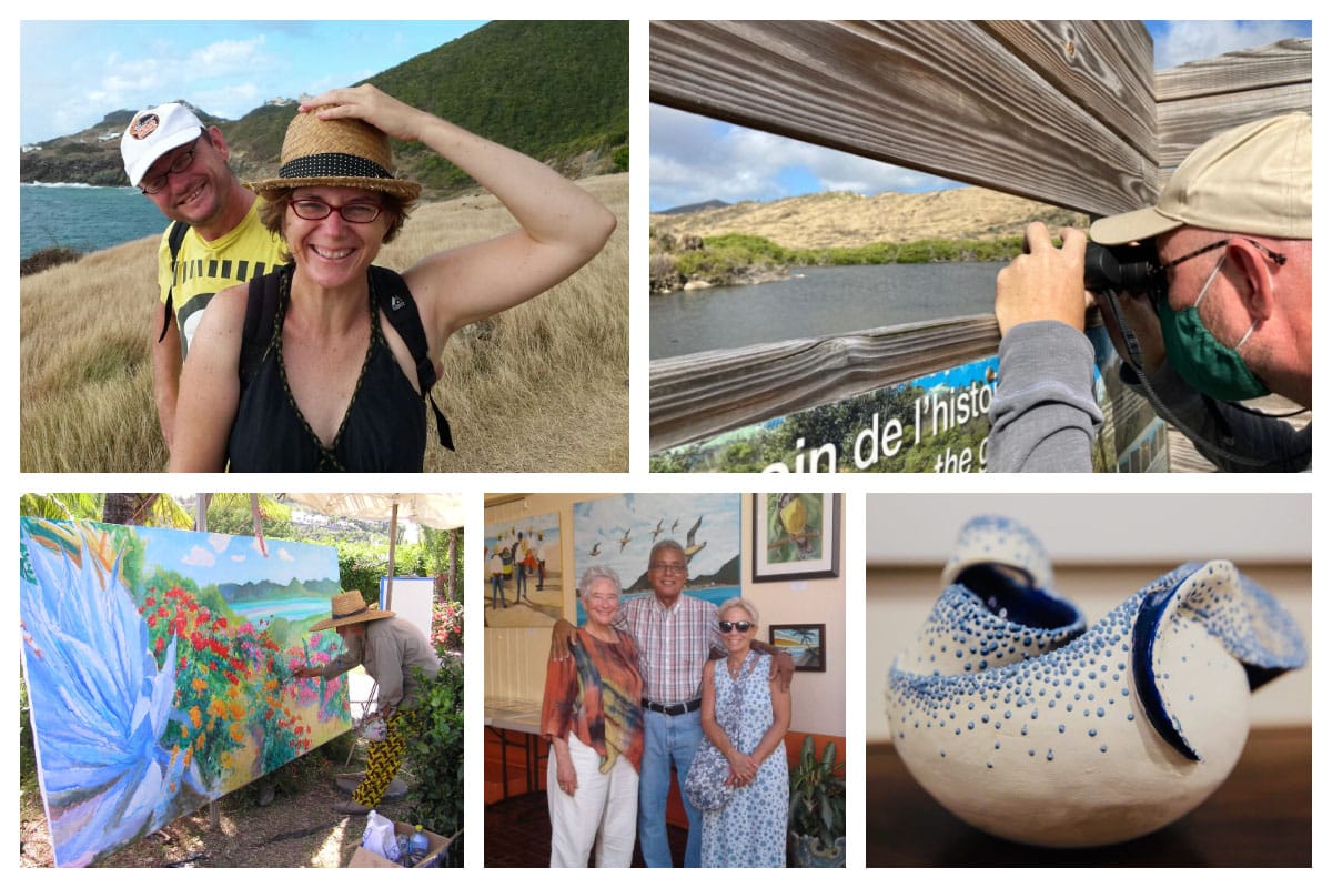 Seagrape Tours - Owners Nascha and Werner, Nature, Art, Artists of SXM, Bird, Pelican, Birdwatching, Birding Caribbean, Paintings