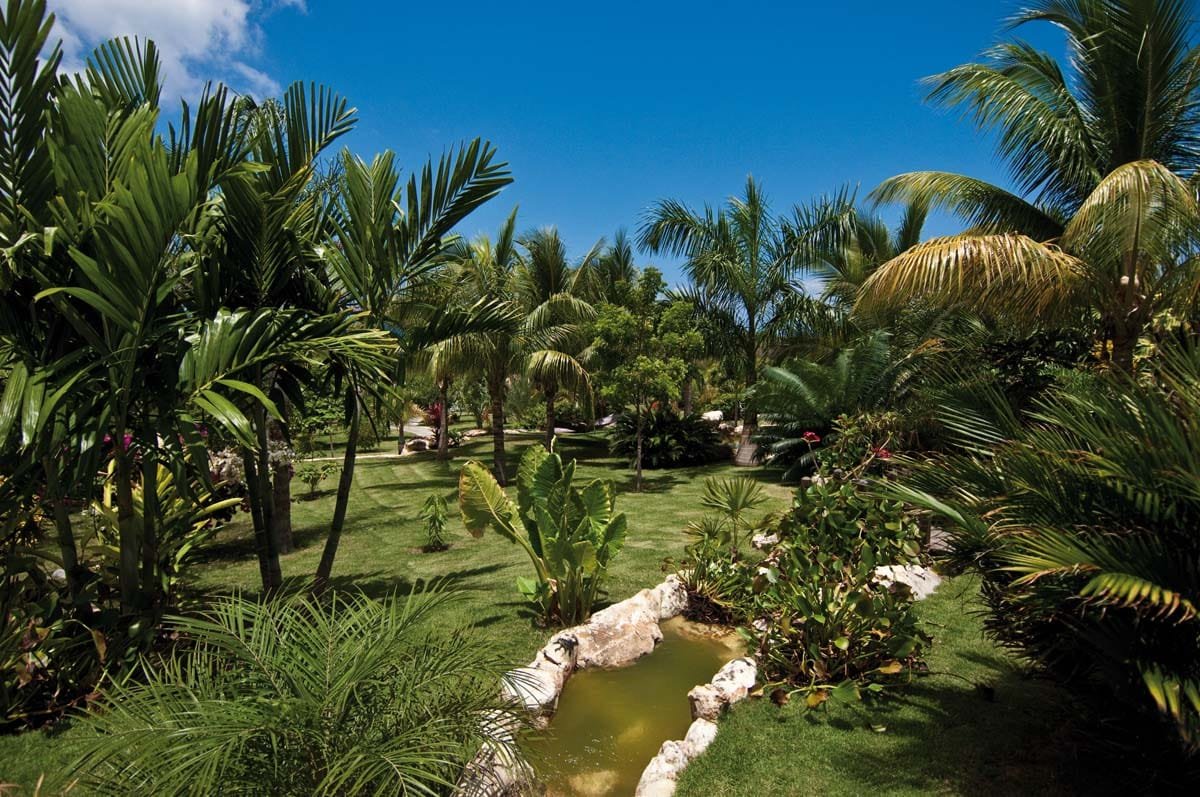 Tranquil koi pond surrounded by lush tropical foliage at Villa Sandyline, Terres Basses, St. Martin