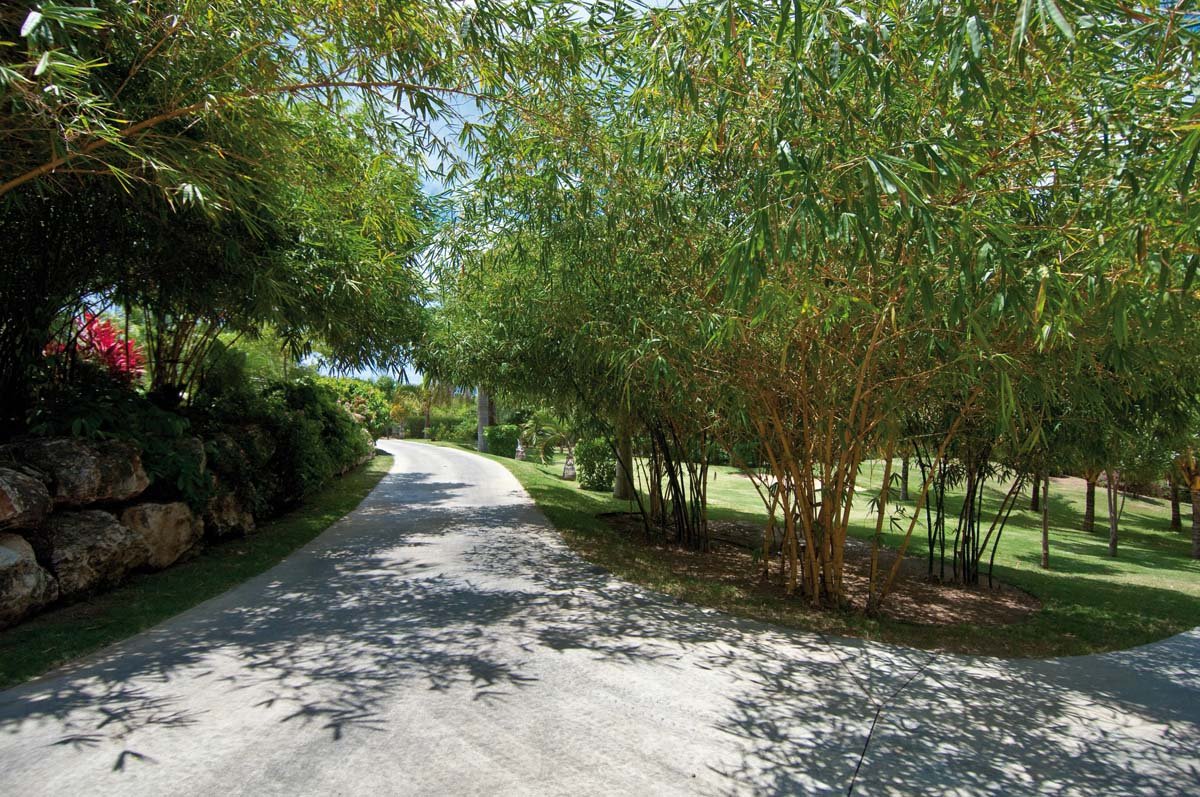 Lush tropical garden with koi ponds and running streams at Villa Sandyline, Terres Basses, St. Martin
