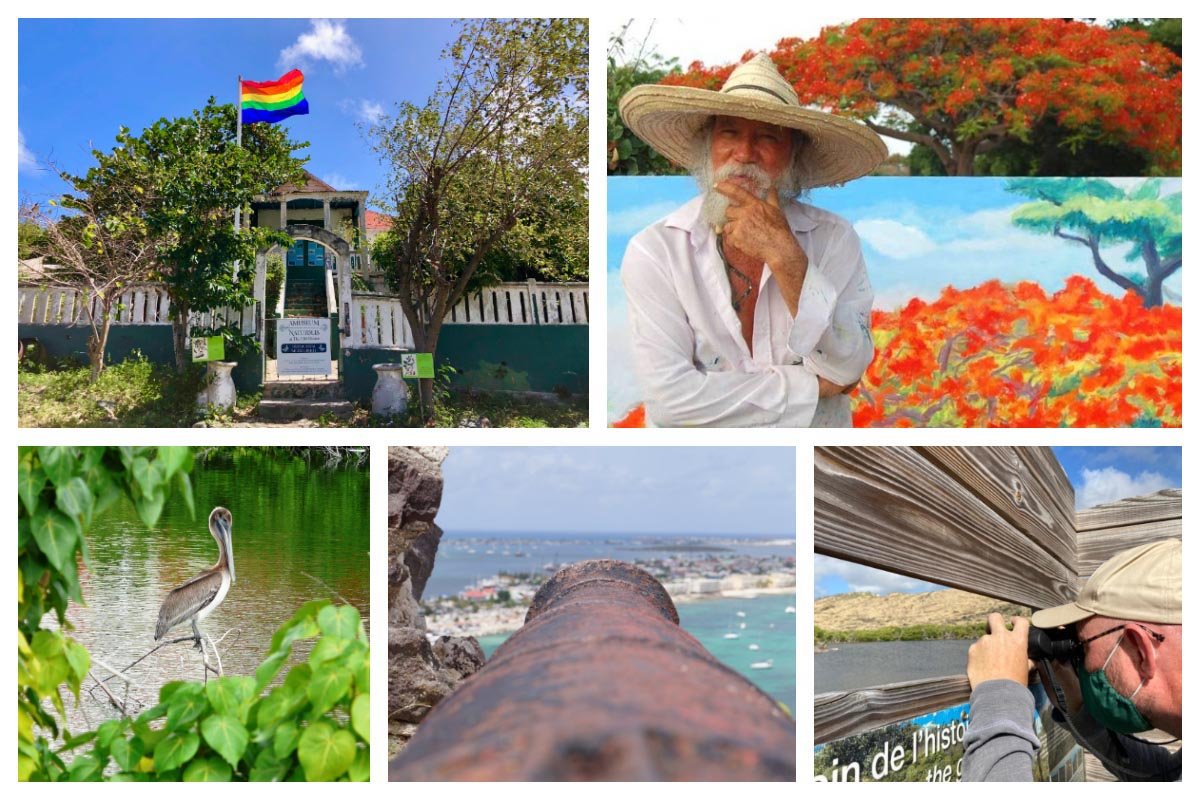 Seagrape Tours - Birding Tours, Bird Watching, Pelican, Art Tour, History Tour, Nature Tour - St. Maarten, St. Martin, SXM