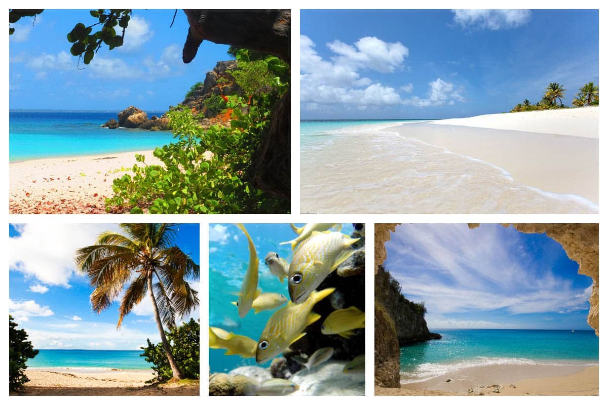 7 Marines Experience - Find the most hidden gems and gorgeous beaches, SXM, Anguilla, St. Barths