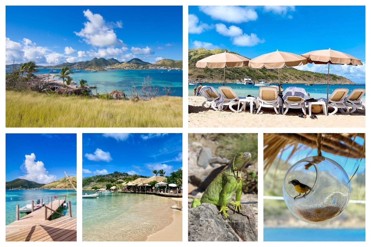 Karibuni Fresh Seafood Restaurant in Pinel Island - Best Seafood Restaurant in St Martin, St Maarten, SXM I