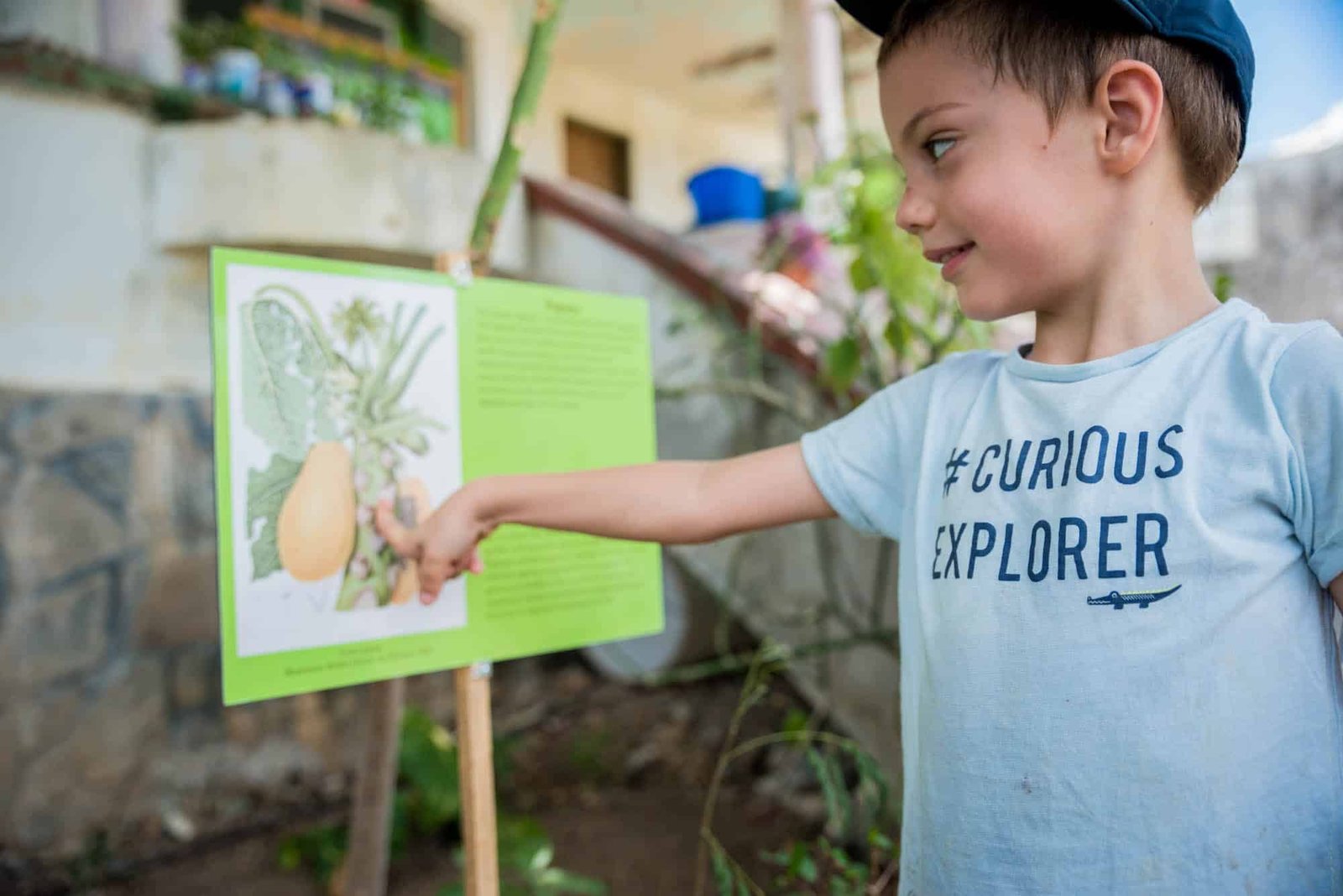 Amuseum Naturalis - History, Heritage, Flora and Fauna of Sint Maarten, Saint Martin
