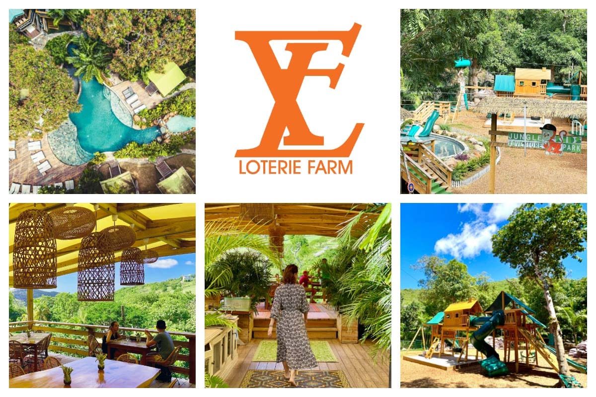 Loterie Farm in Pic Paradis - Spring Fed Pool, Jungle Room, Kids Jungle Park and Restaurant S