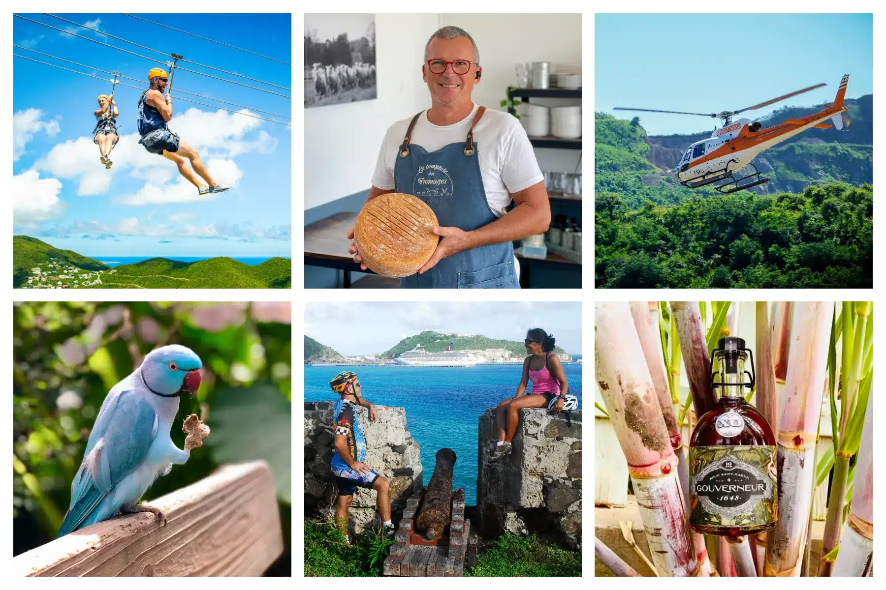 Best things to do in SXM – Zipline, Cheese or Rum Tasting, Helicopter Tour, Bike Tour, Bird park etc. Activities, Tours & Things to do St. Martin - St. Maarten - Zipline, Joga, Sports, Make Perfume, Island Tours, Nature, History, Hikes, Bird park, Animals etc. Google