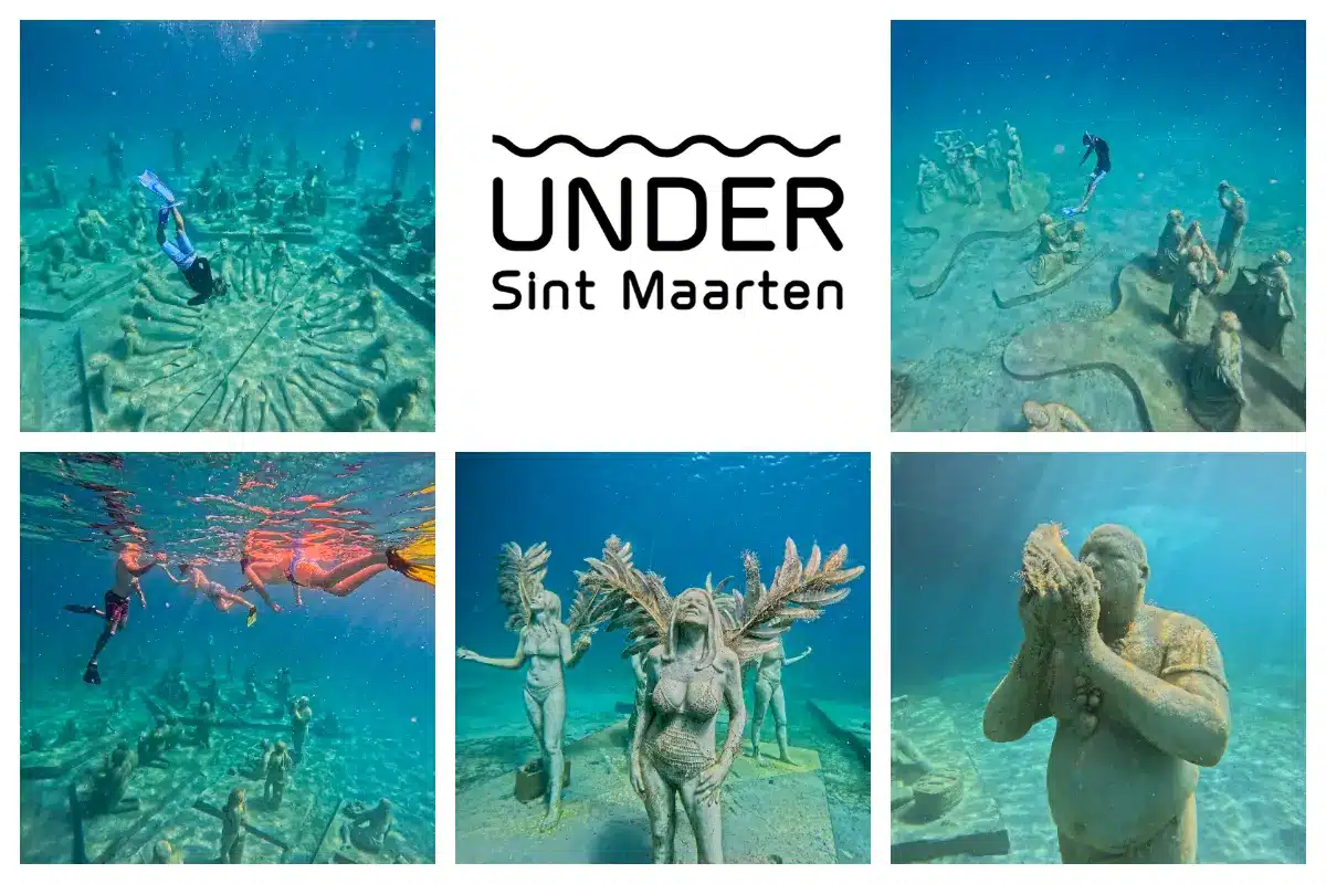 Underwaterpark in SXM, Dive into the Island Culture - Guided Snorkeling Tour, Best snorkel spot I