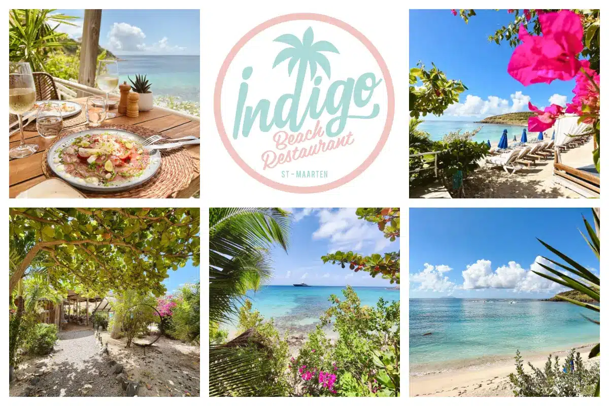 Indigo Beach Restaurant in Indigo Bay Beach - Chic atmosphere, Greenery, Beach Chairs, Lunch I
