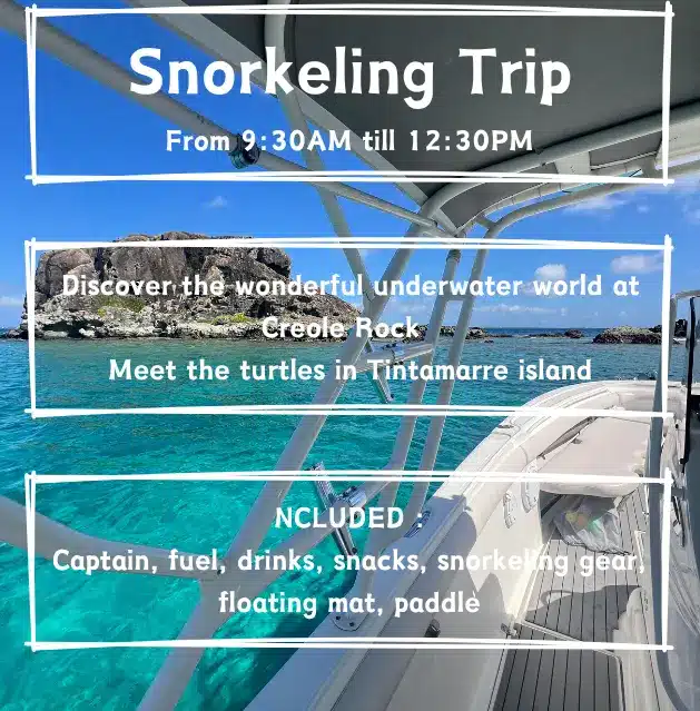Group enjoying a 3-hour snorkeling charter aboard HEREMOANA, a Scarab 32 Sport boat, exploring the turquoise waters of St. Martin.