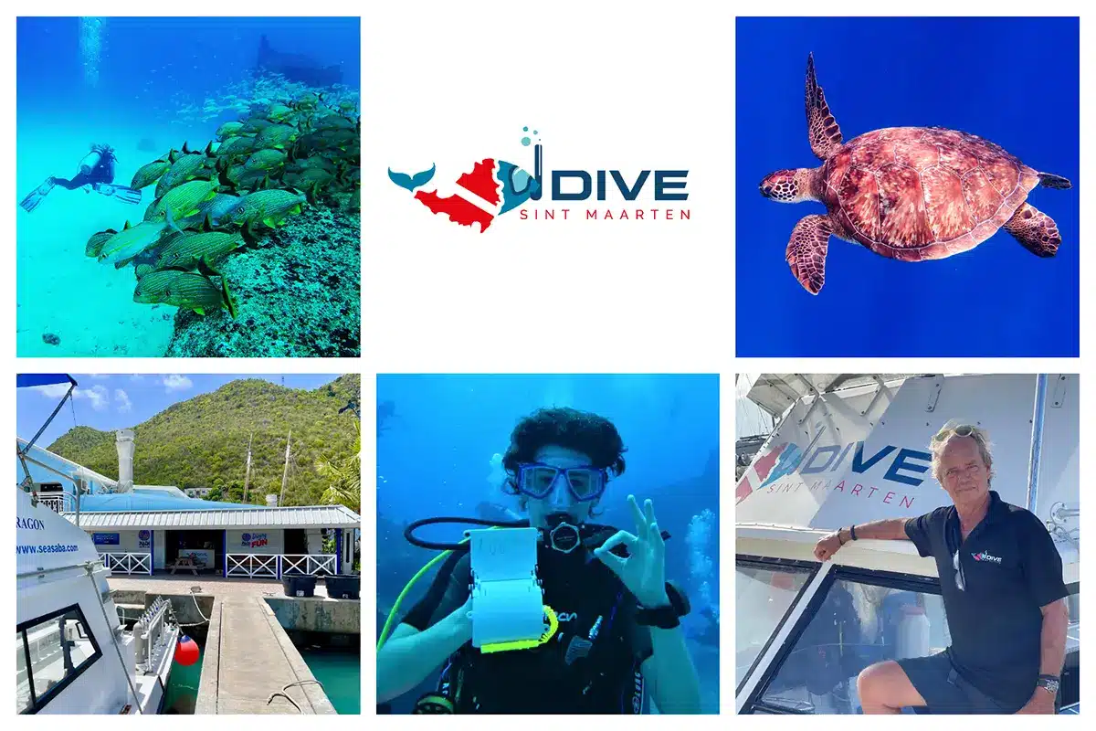 Dive Sint Maarten - WORLD CLASS DIVING SXM - Scuba diving on St. Martin / St. Maarten. Friendly, professional and certified instruction.