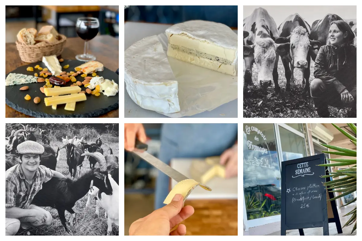 Luxury cheese Tasting - Cheese Platter and Two Glasses of wine, Cold Cuts and Cheese S