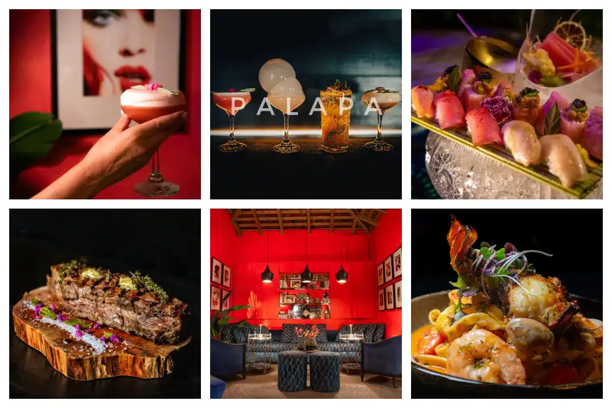 Palapa Grill in Simpson Bay - Elegant, Chic, Fine Dining experience with colorful decor.