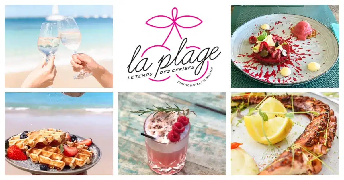 蚤の市】HÔTEL DE LA PLAGE メニュー表示スタンド フランス 蚤の市