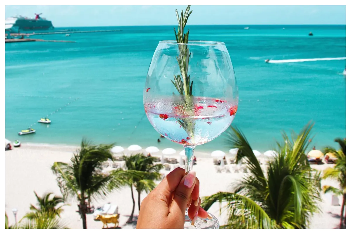 Lounge Holland house beach house - st Maarten- Wine