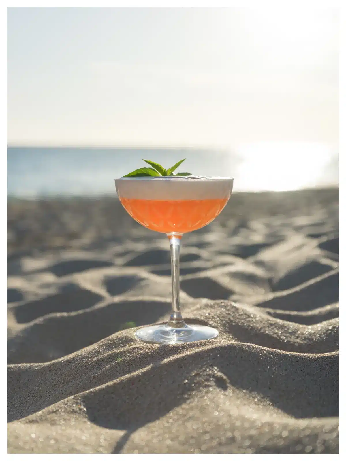 Cocktail Bars & Restaurants | Dutch Side - Sint Maarten