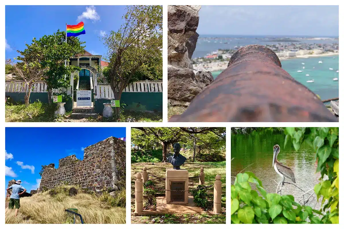 Seagrape Tours - History Trip, Art, Birding, Birds, Fort, Nature, Artists, Knowledge about St. Maarten - St. Martin - SXM