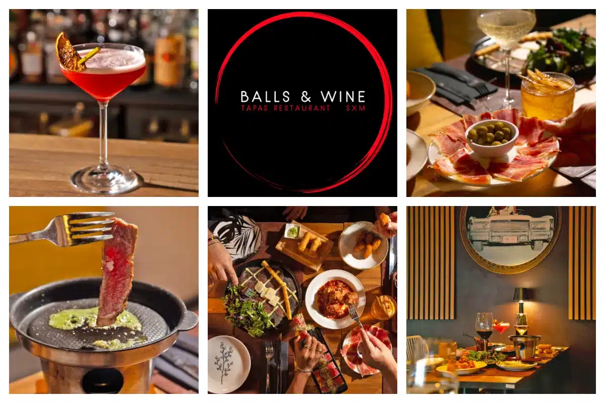 Balls, Tapas & Wine - South American Tapas, Fish, Meatballs, Tuna Taco, Ceviche, Truffle Fries I