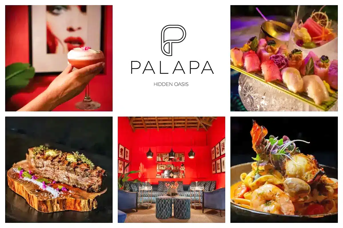 Palapa Grill & Lounge Food & Drinks : Simpson Bay - Palapa Village - St Martin - St Maarten