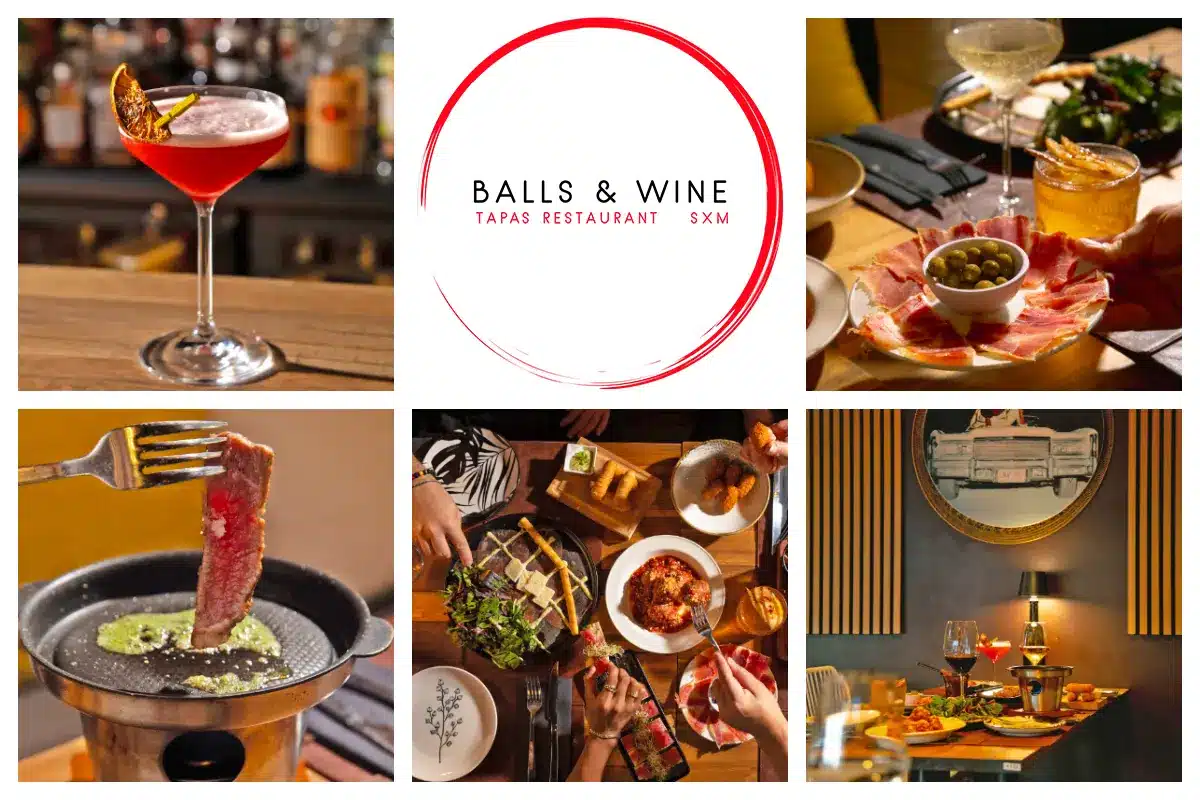 Balls, Tapas & Wine - South American Tapas, Fish, Meatballs, Tuna Taco, Ceviche, Truffle Fries I