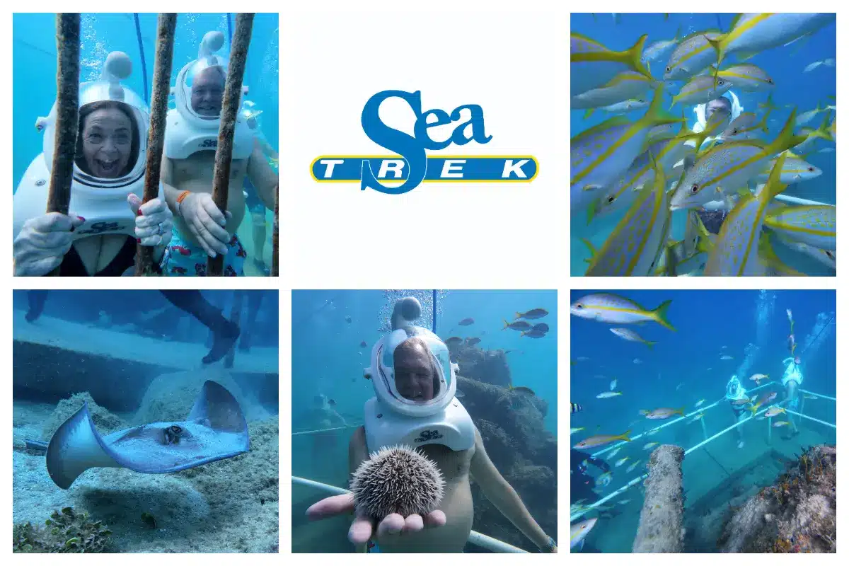 Sea Trek HelmetDdiving and Snorkeling Tour