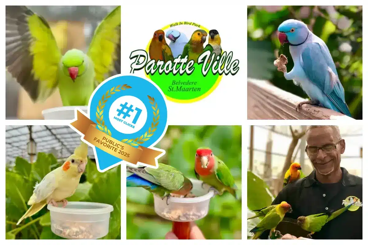 Birdpark - Parotte Ville - St. Maarten - St. Martin - Location Belvedere