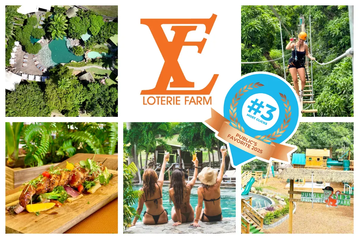 Loterie Farm in Pic Paradis - Spring Fed Pool, Jungle Room, Kids Jungle Park and Restaurant I