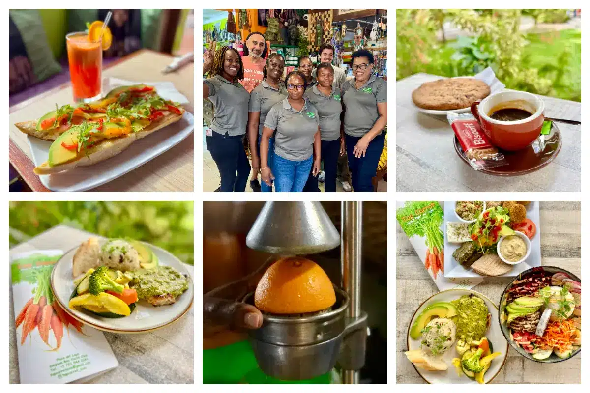 Top Carrot - healthy breakfast & lunch in Simpson Bay at Top Carrot. Smoothies, coffee bar, vegetarian in Simpson bay_SHOP