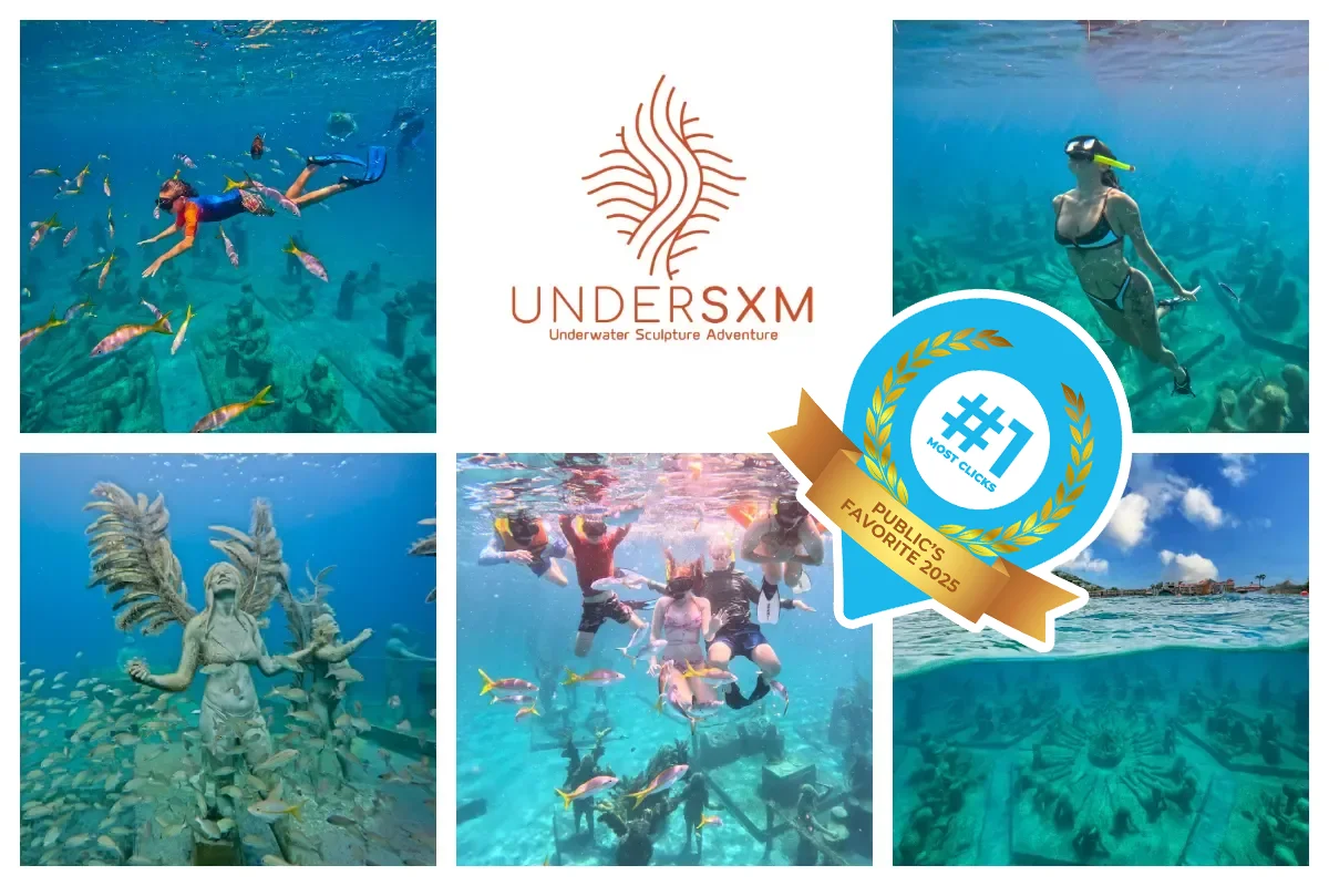 Underwaterpark in SXM, Dive into the Island Culture - Guided Snorkeling Tour, Best snorkel spot I