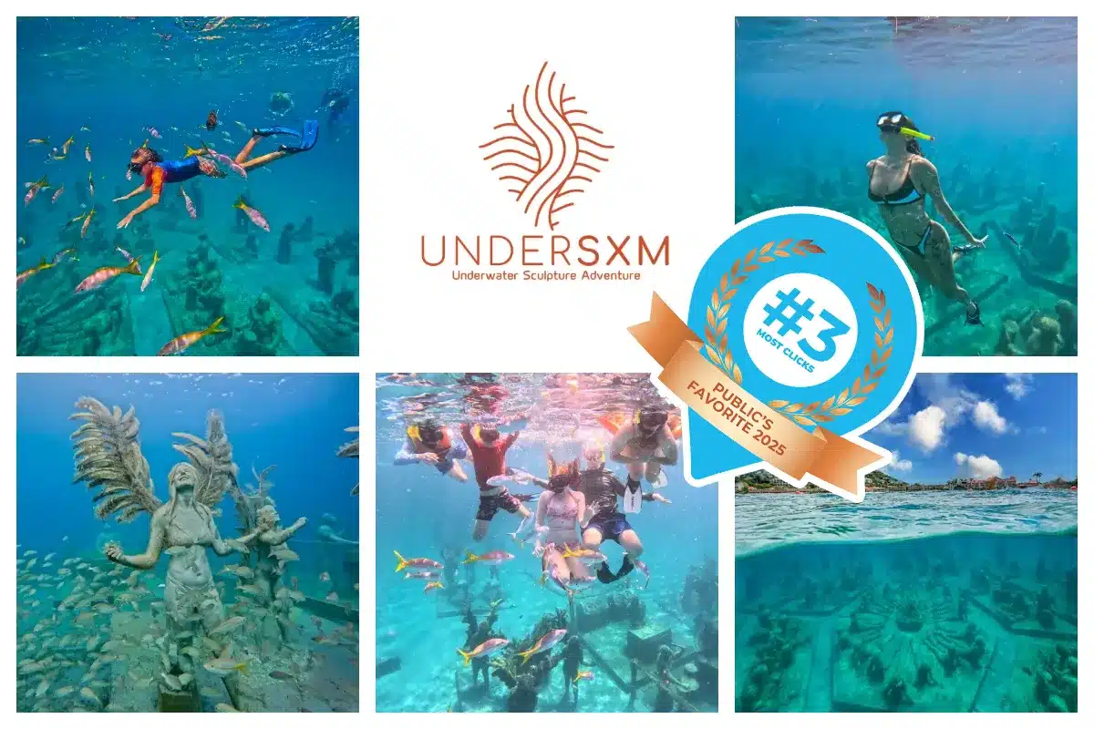 Underwaterpark in SXM, Dive into the Island Culture - Guided Snorkeling Tour, Best snorkel spot I